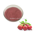 /msite/products/detail/productid/58639366/id/684075.html